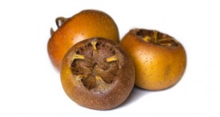 ازگیل
