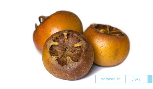 ازگیل