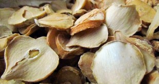 موسیر