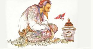 فایز