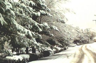 عکسهایی از بارش برف 88 کرکوند (بوستان ملت)