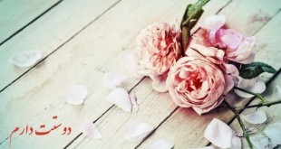 از دل برود یار چو از دیده برفت