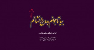ندیدم شهی در دل آرایی تو