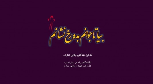 ندیدم شهی در دل آرایی تو