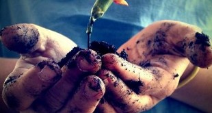 سخن بزرگان - فلسفی