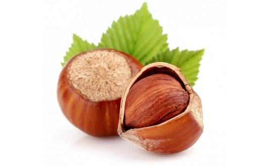 فندق