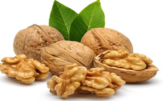 گردو