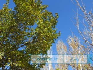 تصاویر پاییزی از شهر کرکوند
