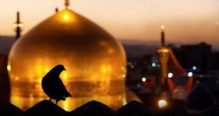 امام رضا