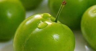 گوجه سبز