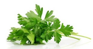 سبزی نوبرانه بهاری