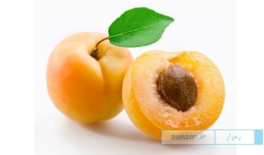 زردآلو
