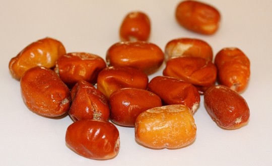 سنجد