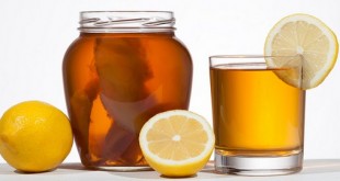 کامبوجا Kombucha